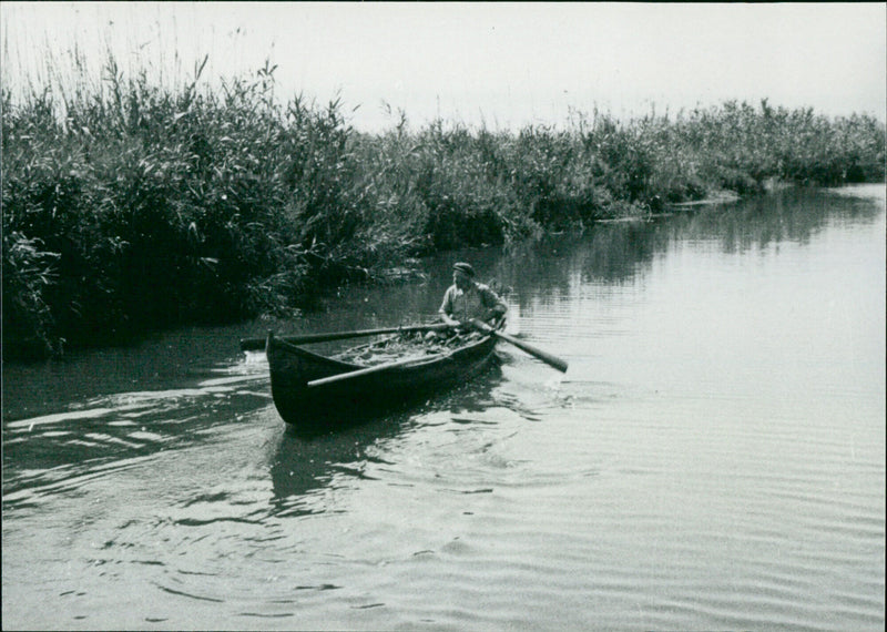 Dutchman in the Danube Delta - Vintage Photograph