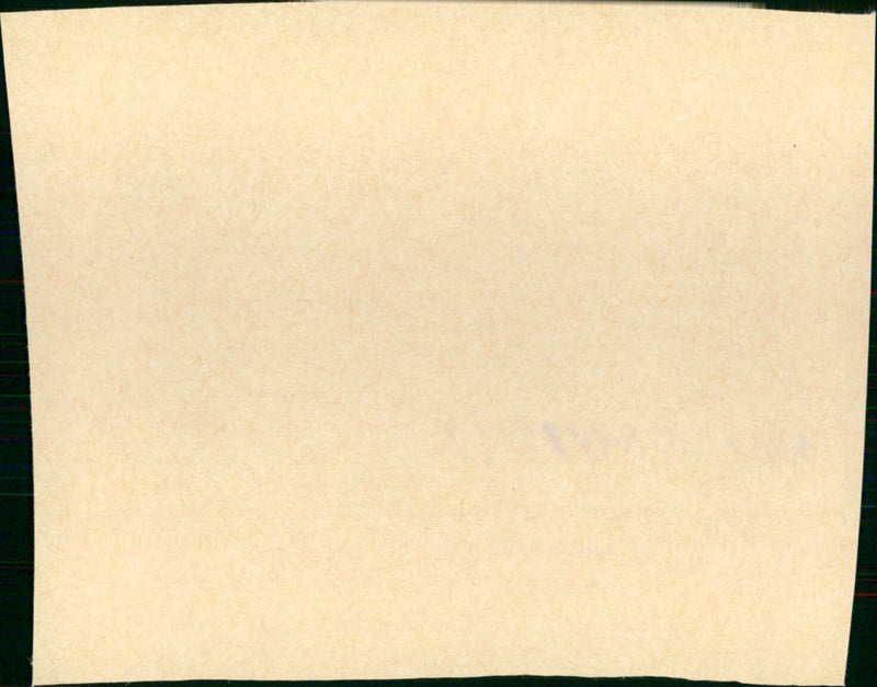 1984 - Vintage Photograph