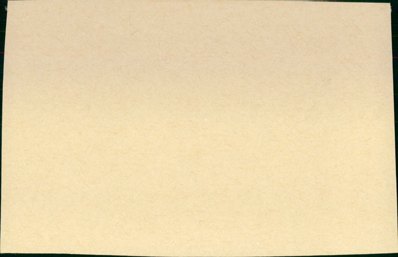 Never a Dull Moment - Vintage Photograph