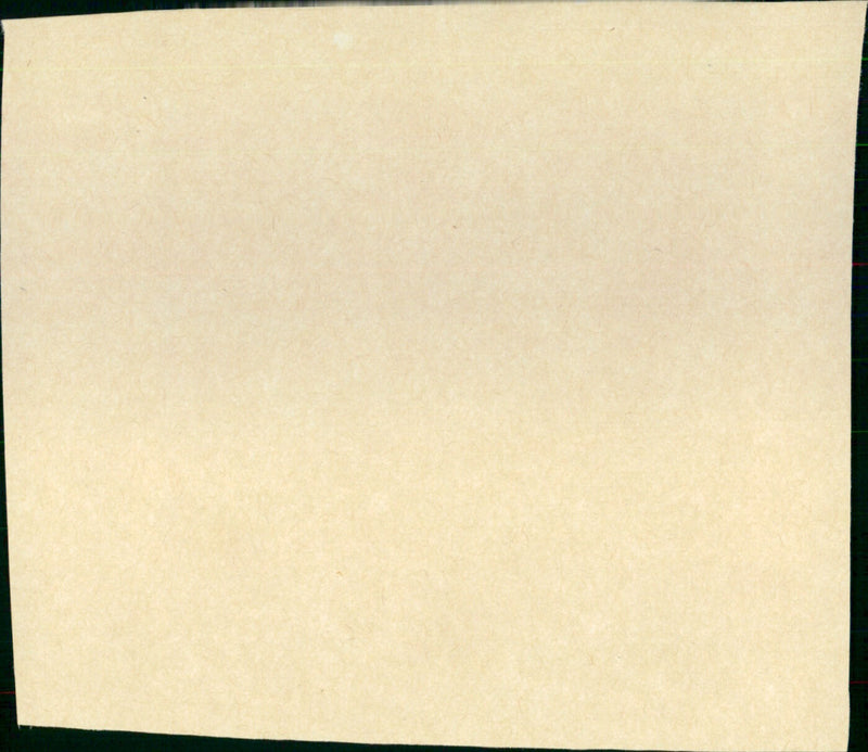 Never Cry Wolf - Vintage Photograph