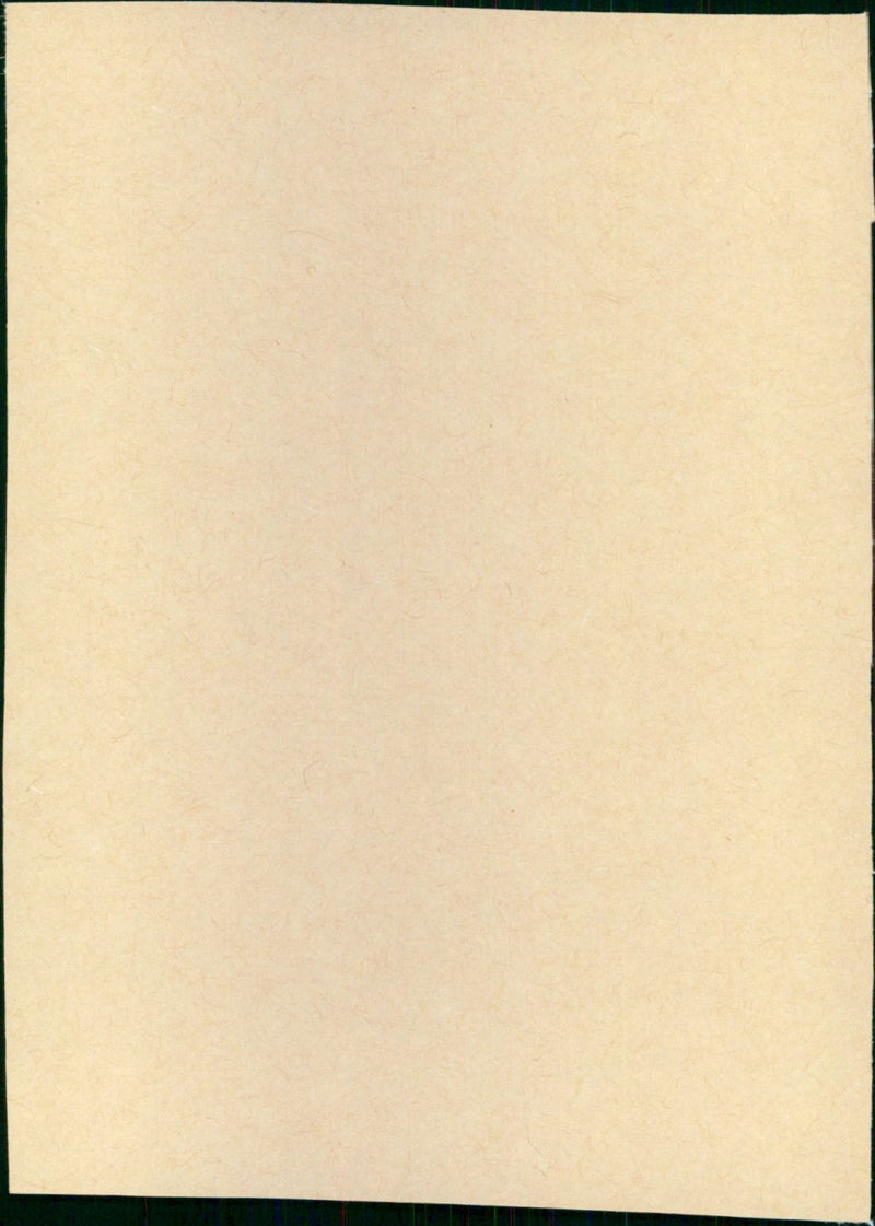 New Nightmares - Vintage Photograph