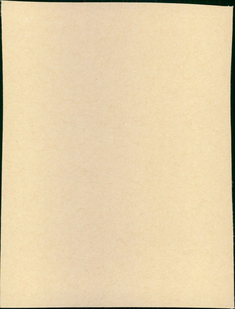 News at Eleven - Vintage Photograph