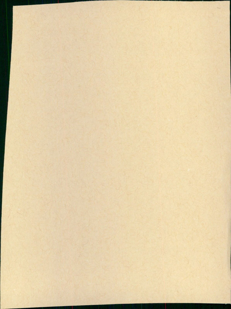 De nieuwe moeder - Vintage Photograph