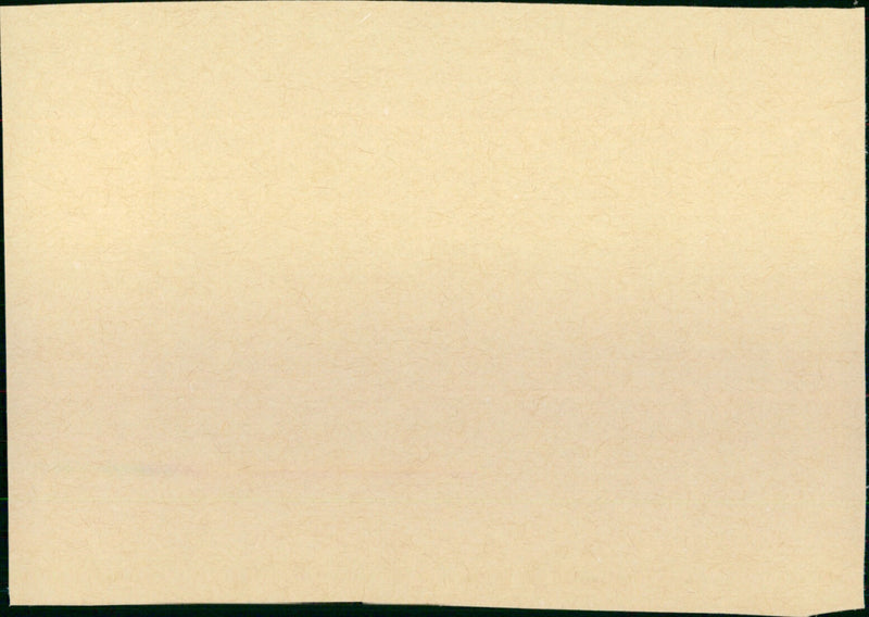 Night Chase - Vintage Photograph