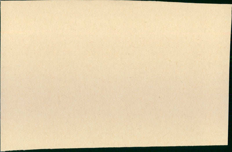 Rough Shoot - Vintage Photograph