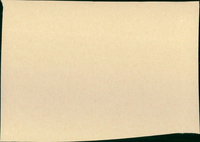 Rosine - Vintage Photograph