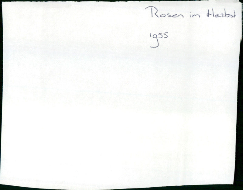 Rosen im Herbst - Vintage Photograph