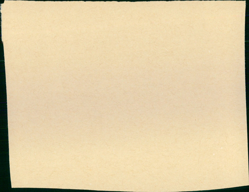 Rosen im Herbst - Vintage Photograph