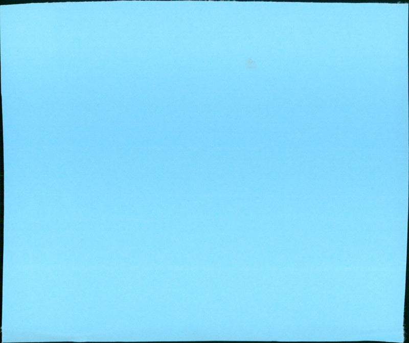 Roseland - Vintage Photograph