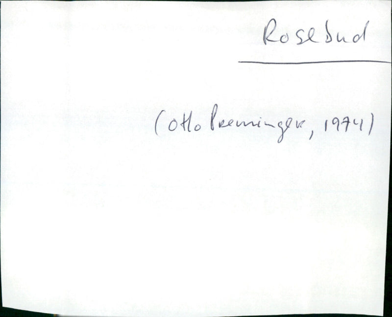 Rosebud - Vintage Photograph