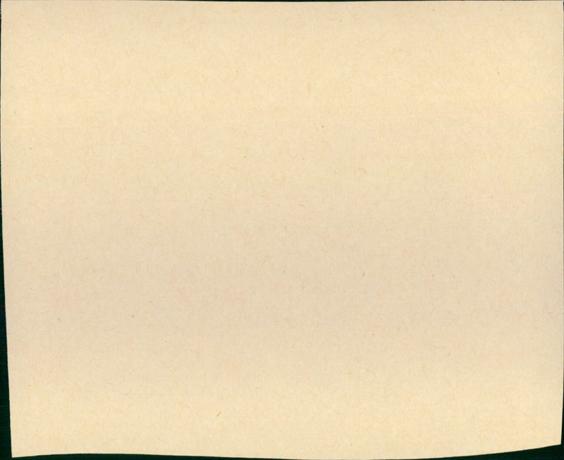 Rosebud - Vintage Photograph