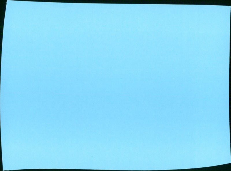 The Rose Tattoo - Vintage Photograph