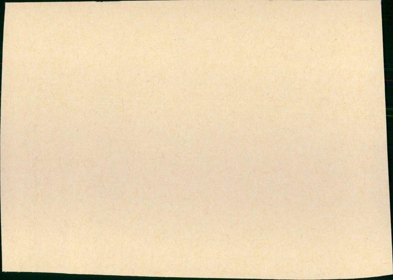 Rope - Vintage Photograph