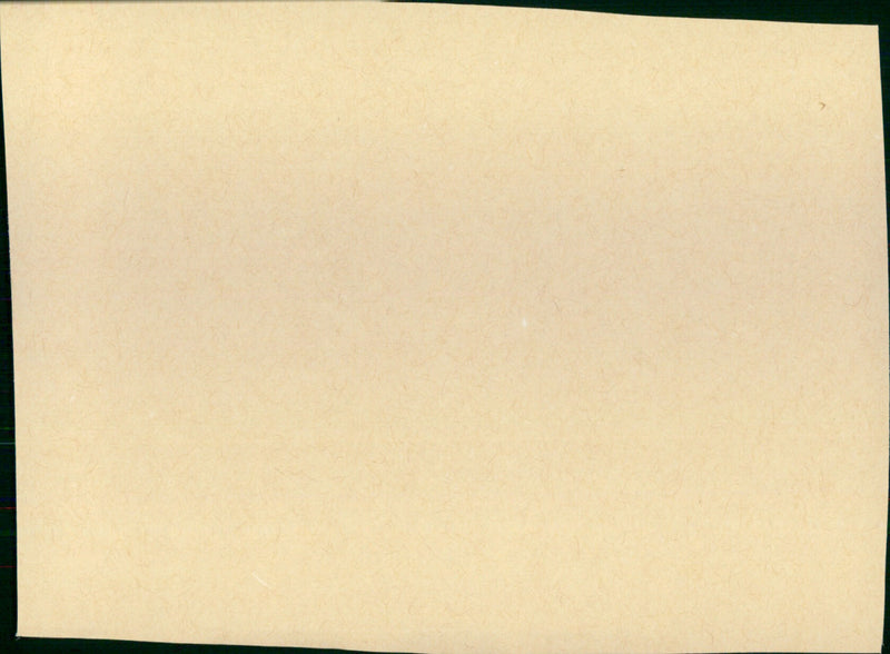 Rooster Cogburn - Vintage Photograph