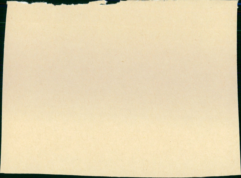 The Red Pony - Vintage Photograph