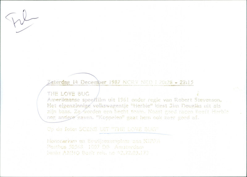 The Love Bug - Vintage Photograph