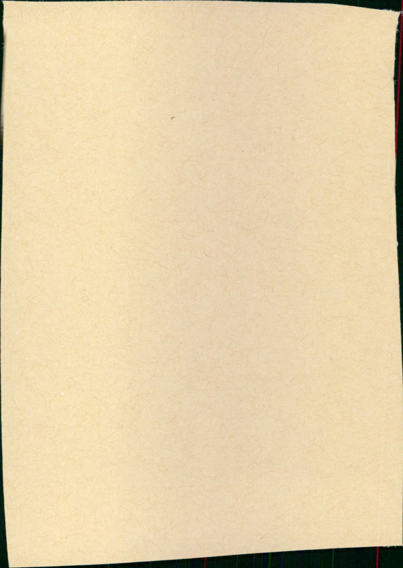 Love & Human Remains - Vintage Photograph