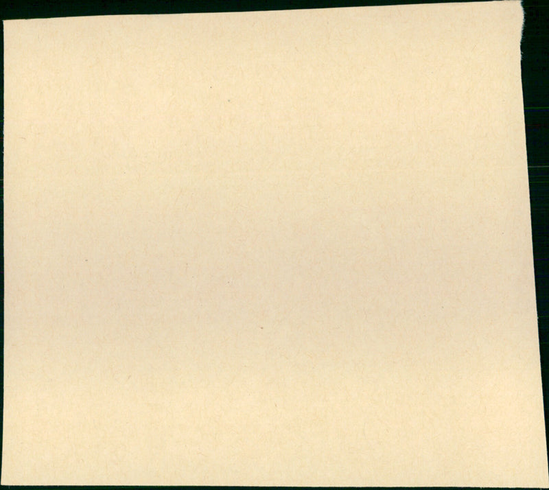 Mousey - Vintage Photograph