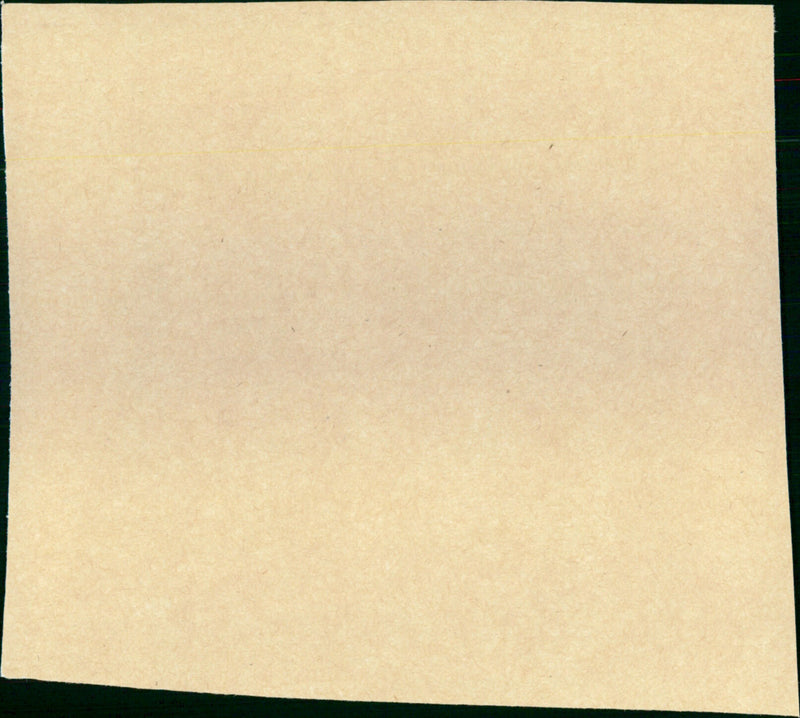 Movers And Shakers - Vintage Photograph