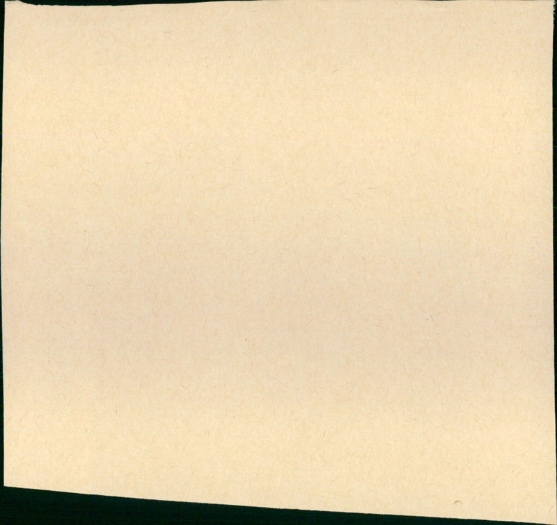 Mr. Majestyk - Vintage Photograph