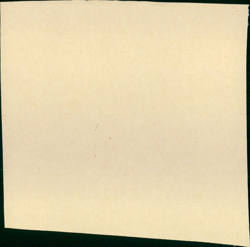 Mr. Smith Goes to Washington - Vintage Photograph