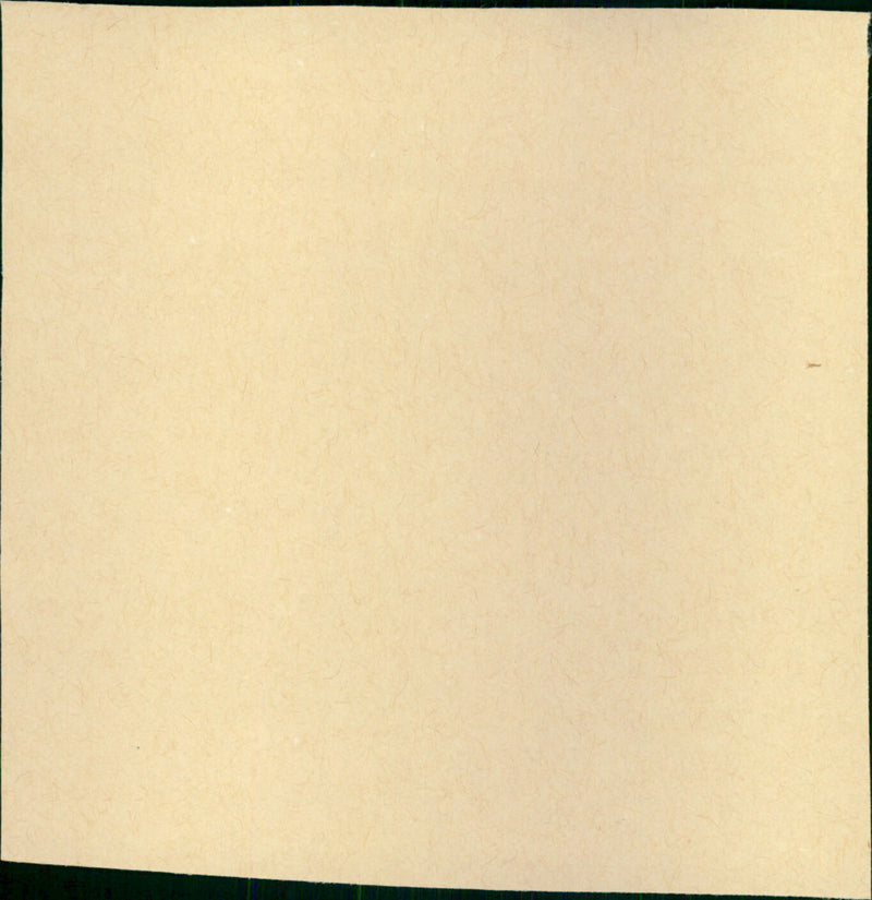 Night Moves - Vintage Photograph