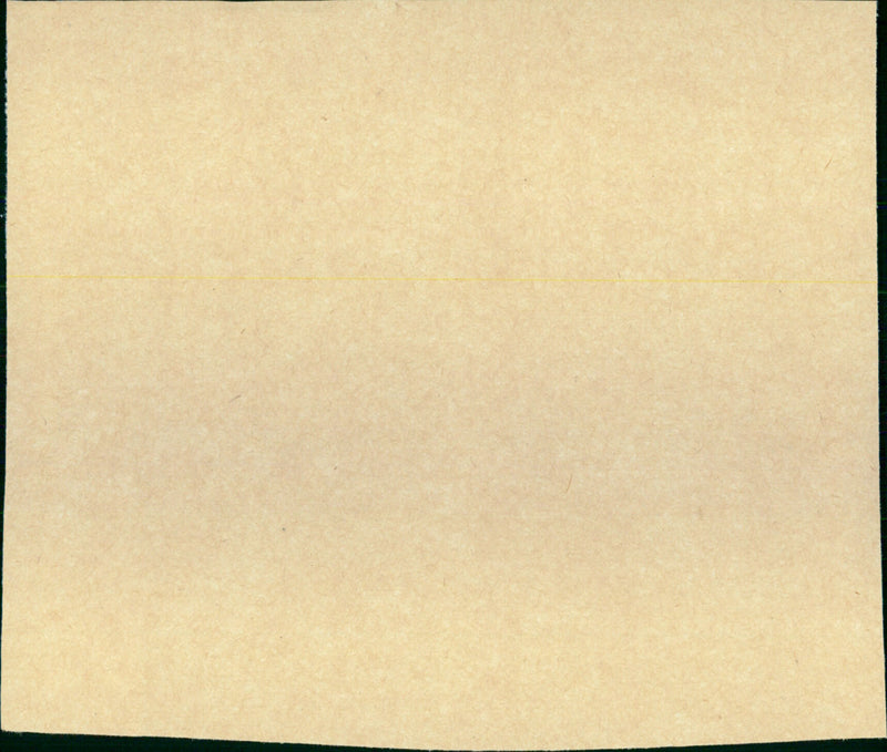 Monster on the Campus - Vintage Photograph