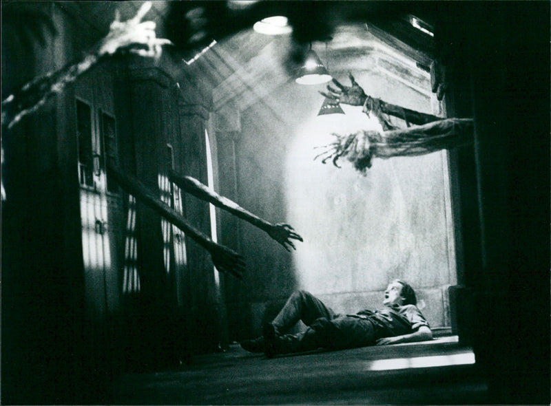 The serpent and the rainbow - Vintage Photograph