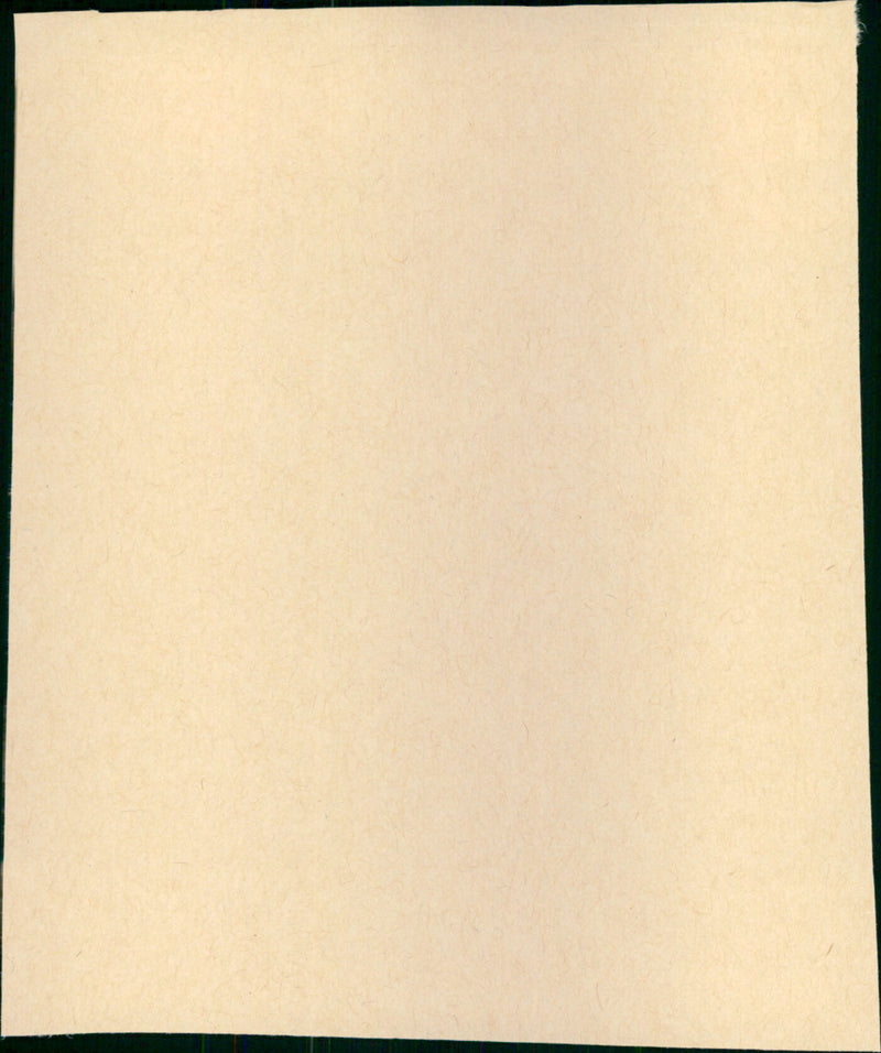 Marlowe - Vintage Photograph