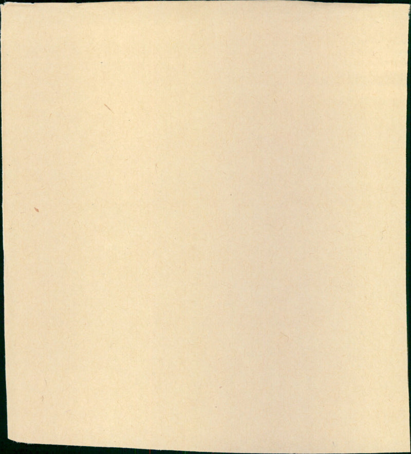 Married to the Mob - Vintage Photograph