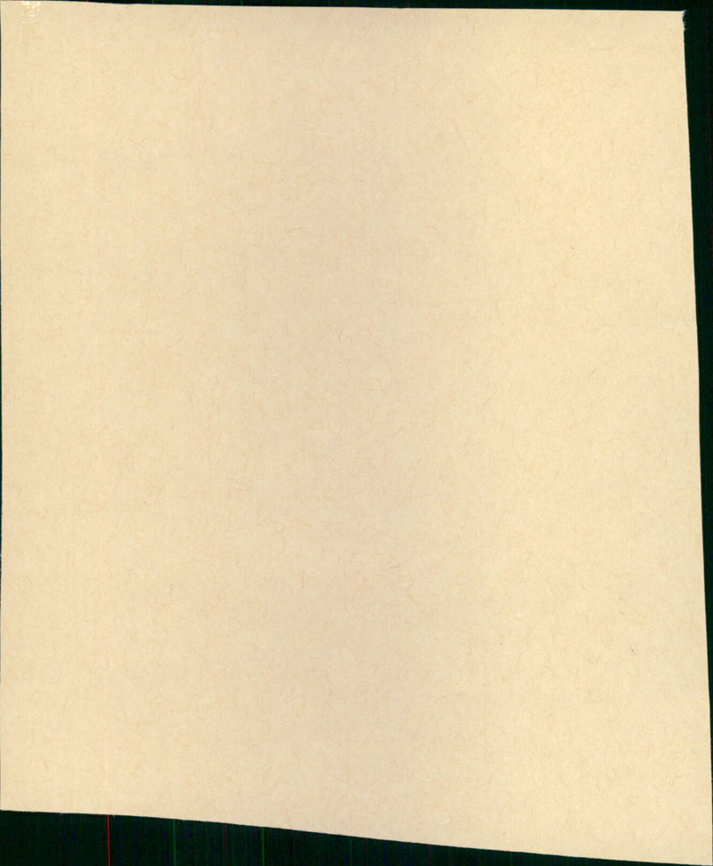 The Marrying Man - Vintage Photograph