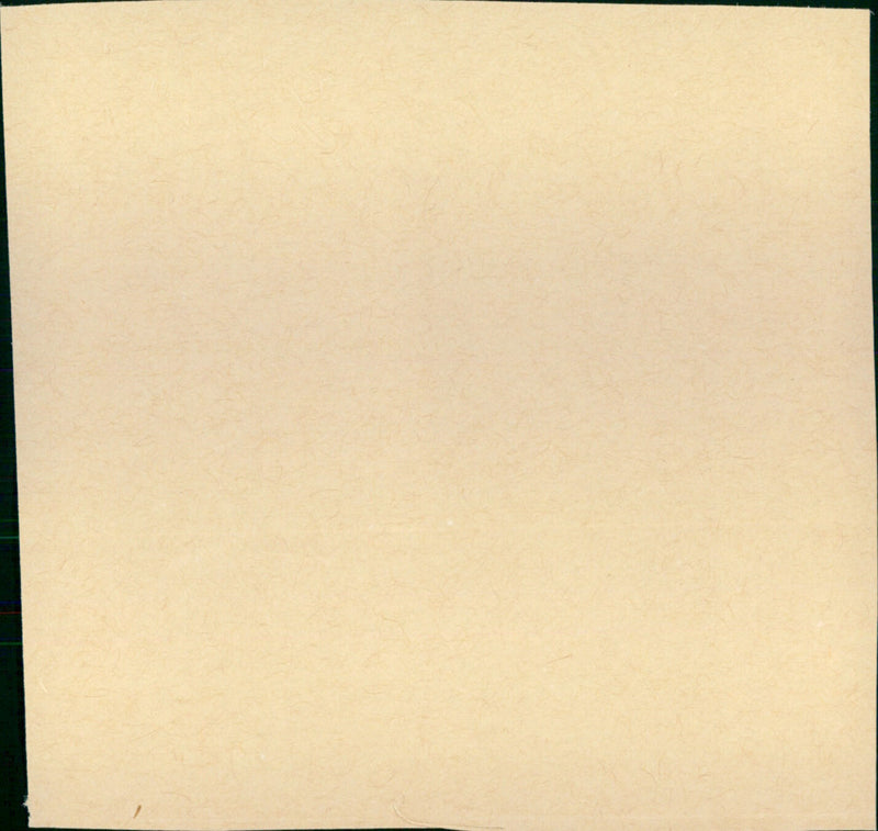 Mascara - Vintage Photograph