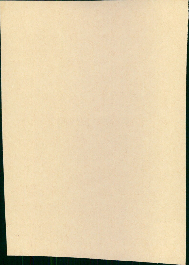 The Mask - Vintage Photograph