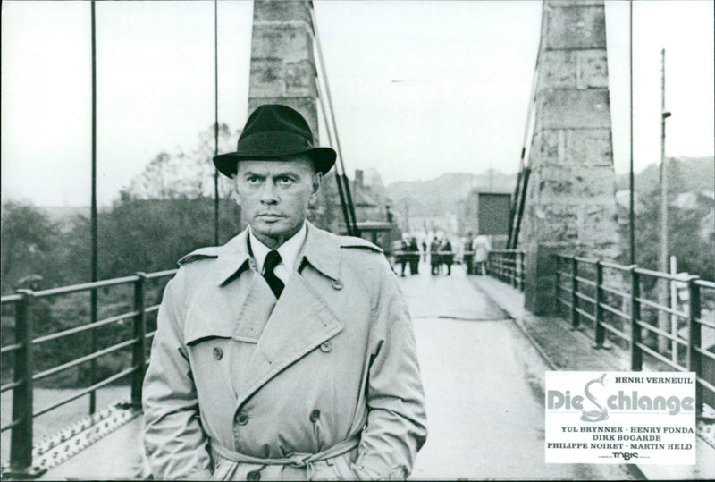 Yul Brynner - Le serpent - Vintage Photograph