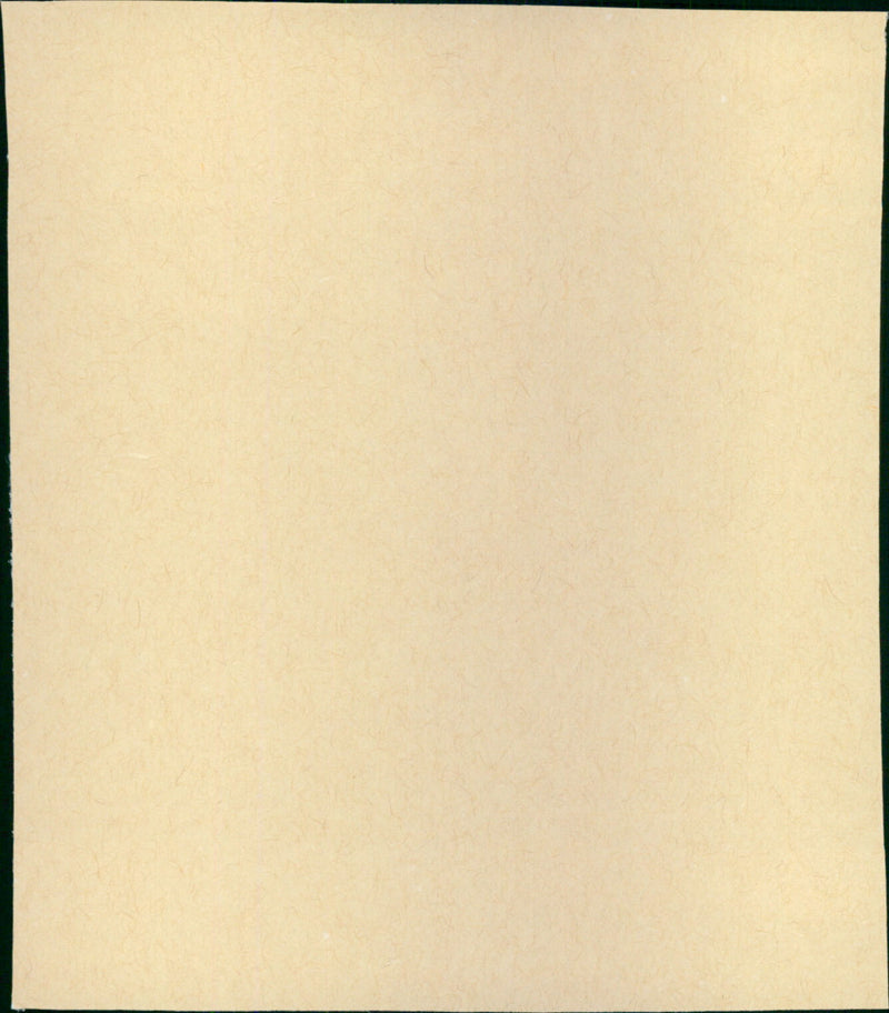 Masquerade - Vintage Photograph