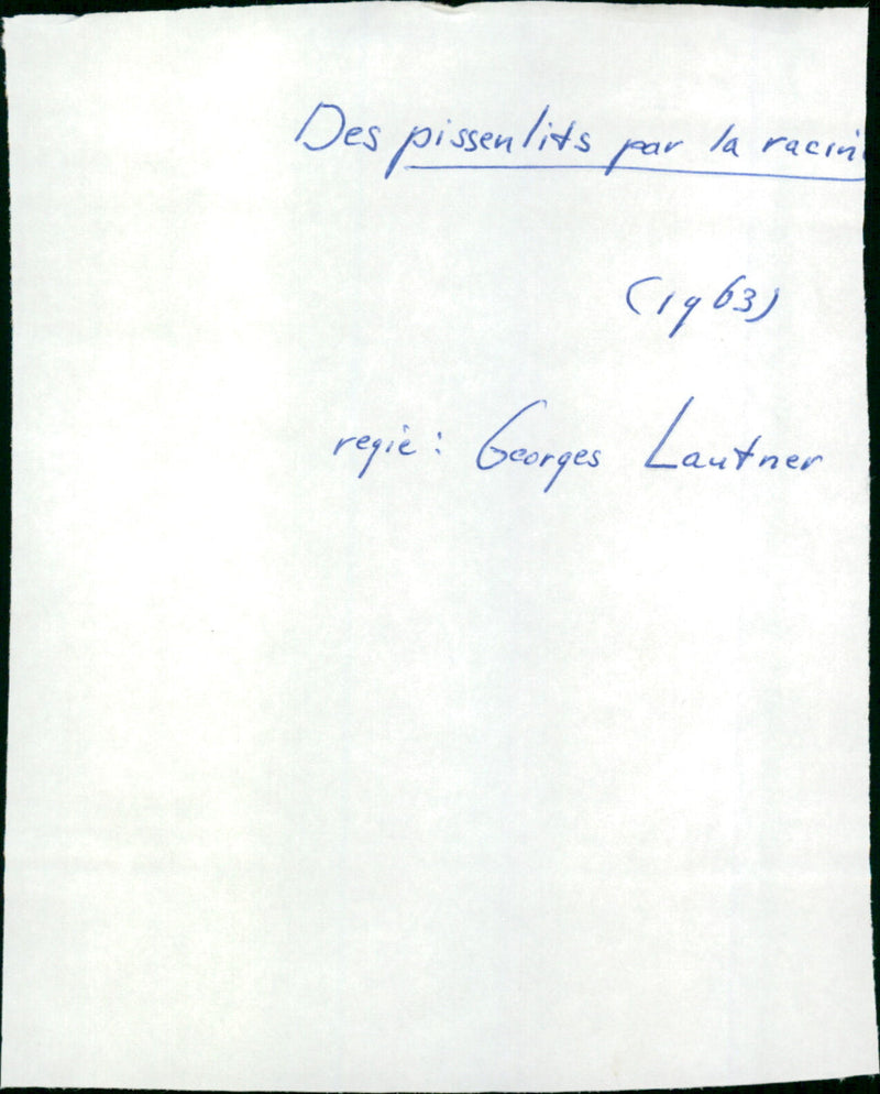 Des pissenlits par la racine - Vintage Photograph