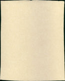 Des pissenlits par la racine - Vintage Photograph