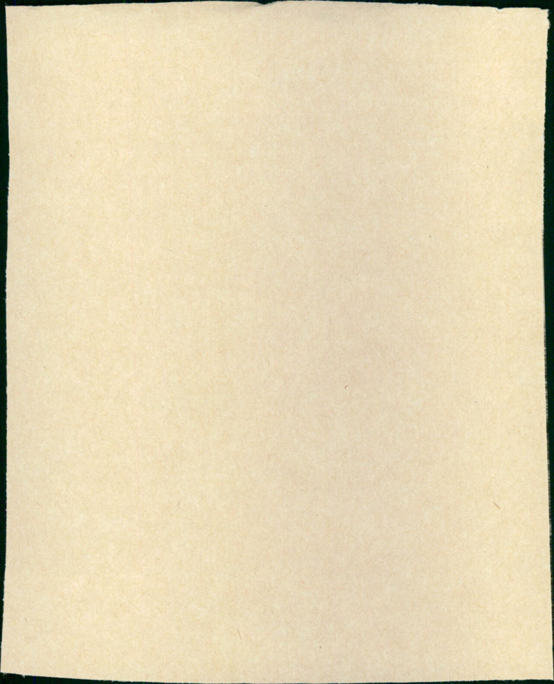 Des pissenlits par la racine - Vintage Photograph