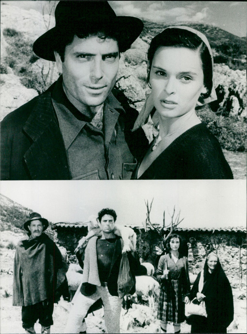 Non c'è pace tra gli ulivi - Vintage Photograph