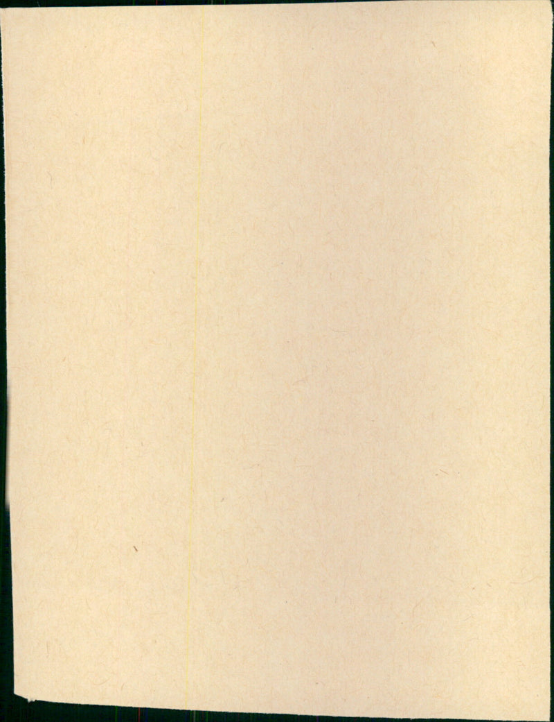 Plaff - Vintage Photograph