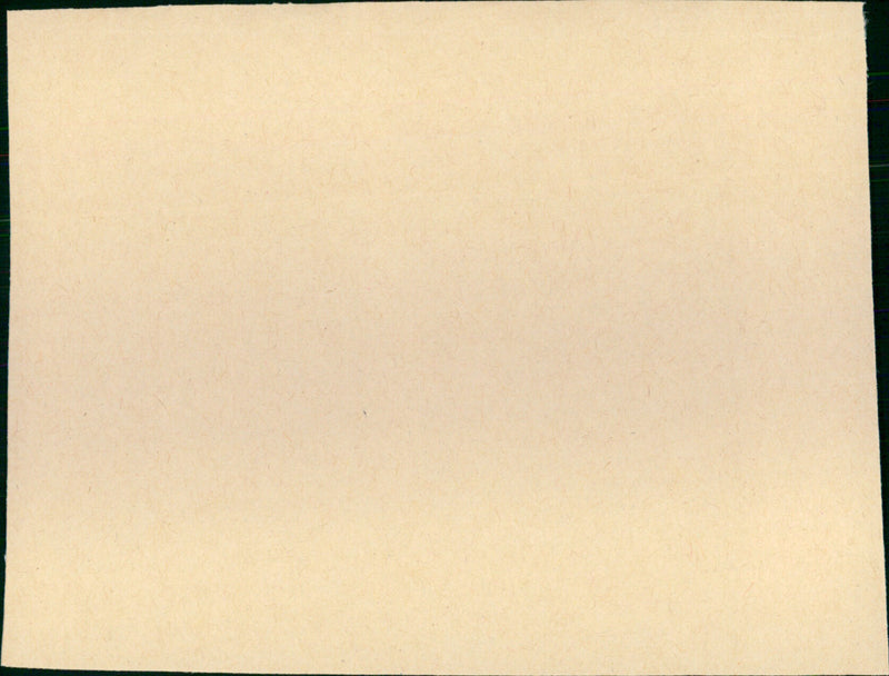 Le plaisir - Vintage Photograph