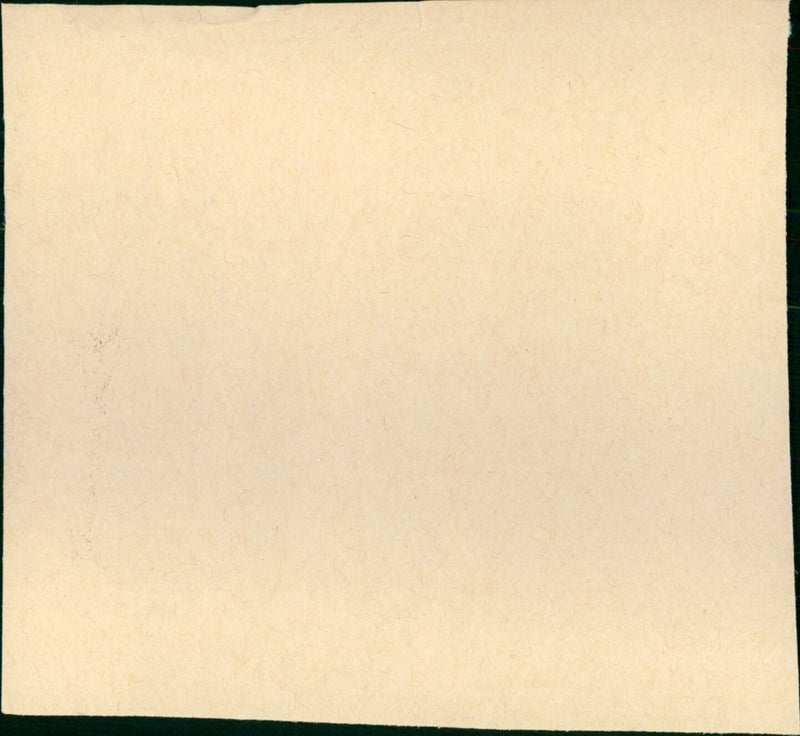 Play Me Something - Vintage Photograph