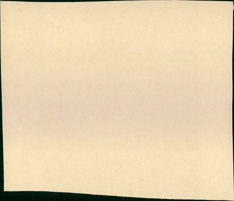 Playtime - Vintage Photograph