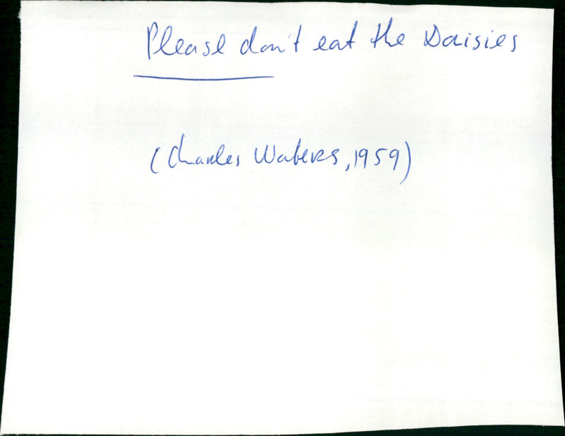 Please Don't Eat the Daisies - Vintage Photograph