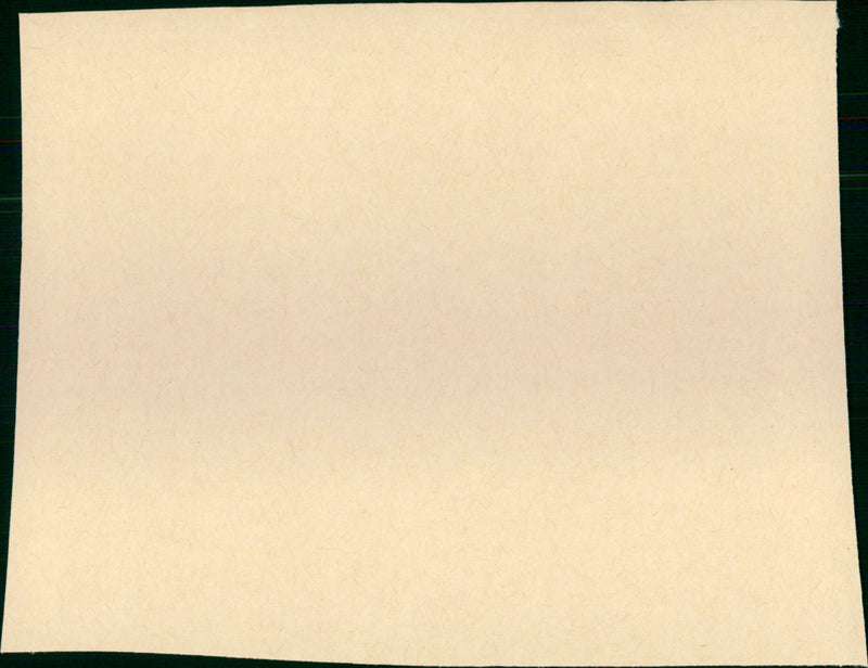 Please Don't Eat the Daisies - Vintage Photograph