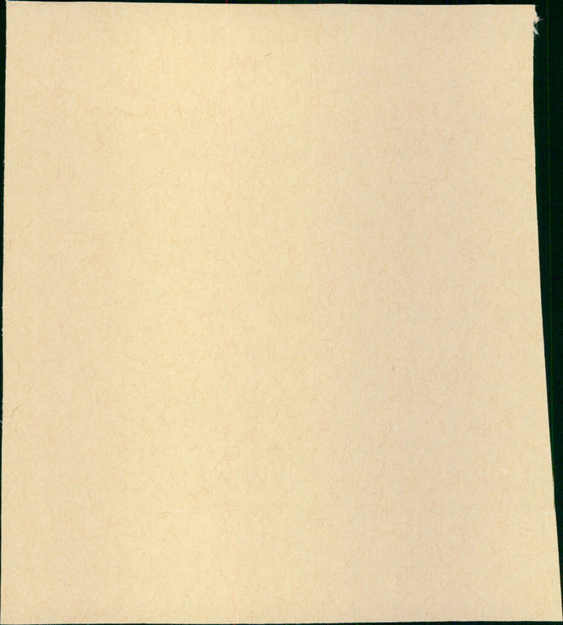 Nothing Sacred - Vintage Photograph