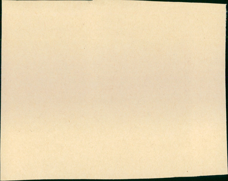 Plein soleil - Vintage Photograph