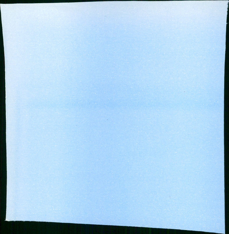 Not My Kid - Vintage Photograph