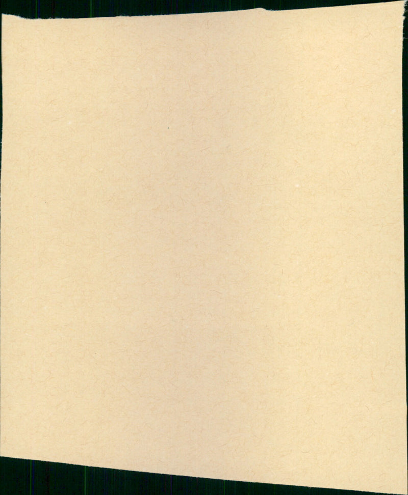 La petite apocalypse - Vintage Photograph