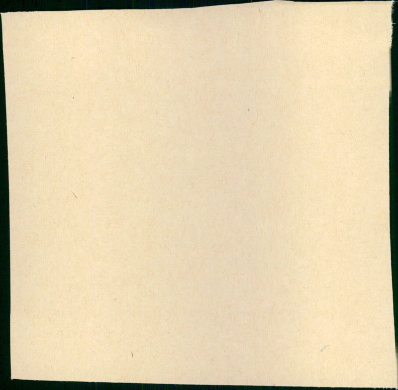 La petite Lise - Vintage Photograph